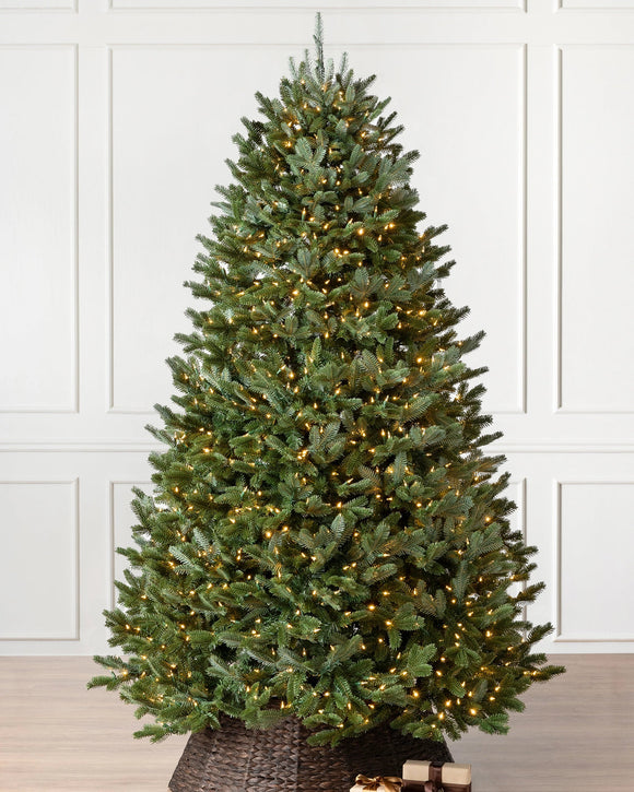 Árvore de Natal Abeto Fraser Imperial