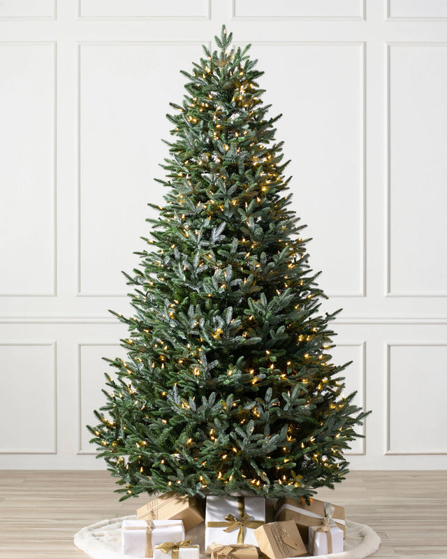 Árvore de Natal Abeto Prateado Europeu
