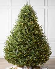 Árvore de Natal Abeto Balsâmico Imperial