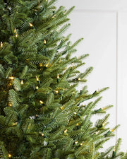 Árvore de Natal Abeto Balsâmico Imperial