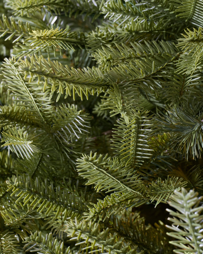Árvore de Natal Abeto Balsâmico Imperial