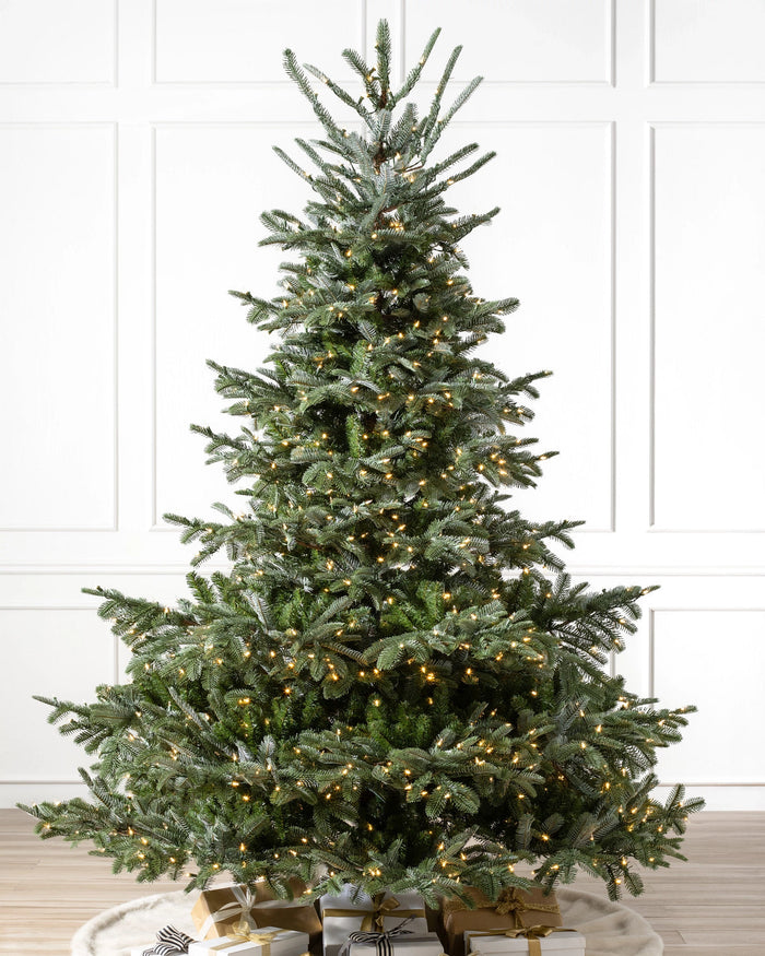 Árvore de Natal Abeto Europeu