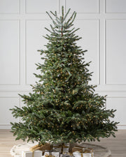Árvore de Natal Abeto Europeu