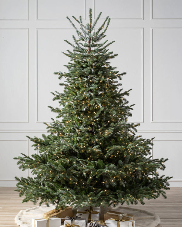 Árvore de Natal Abeto Europeu