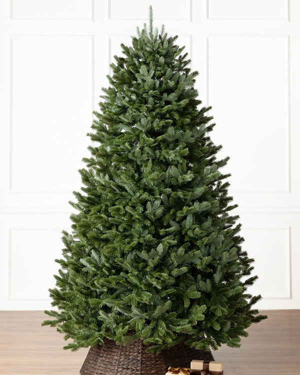 Árvore de Natal Abeto Fraser Imperial