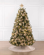 Árvore de Natal Abeto Fraser Imperial