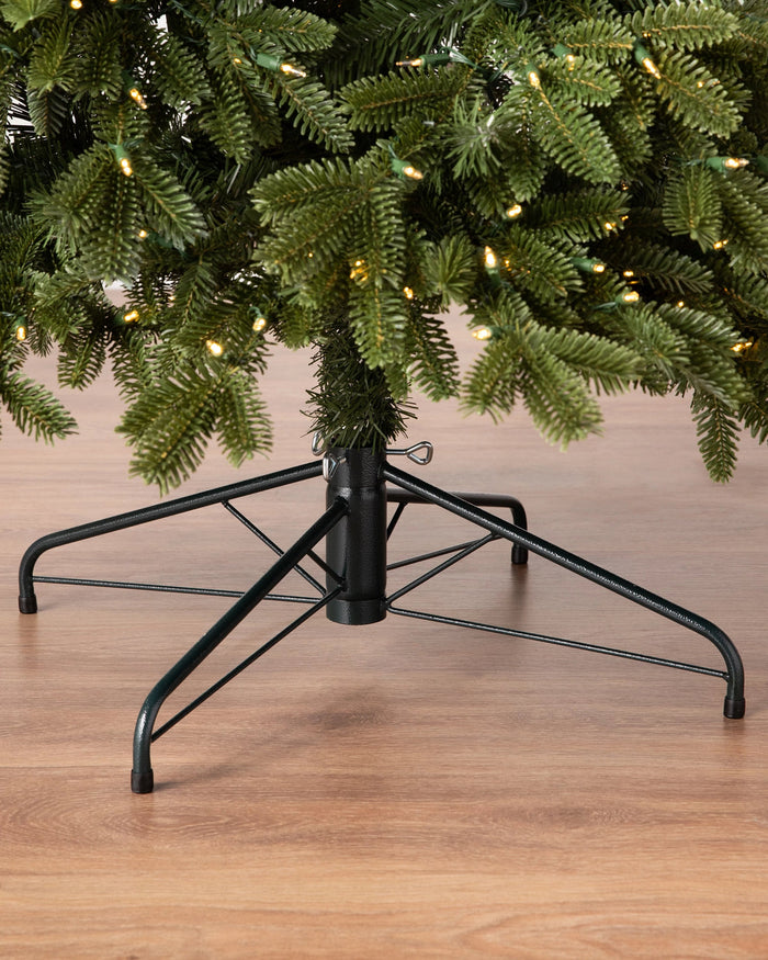 Árvore de Natal Abeto Fraser Imperial