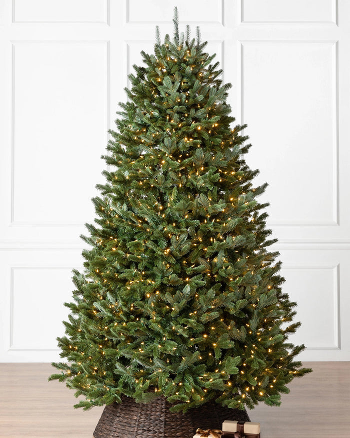 Árvore de Natal Abeto Fraser Imperial
