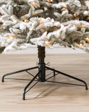 Árvore de Natal Abeto Fraser Nevado