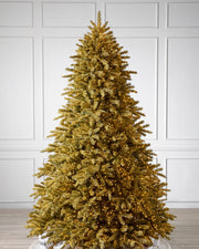 Árvore de Natal Abeto Golden Aspen Estate