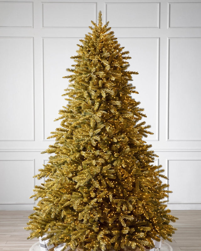 Árvore de Natal Abeto Golden Aspen Estate