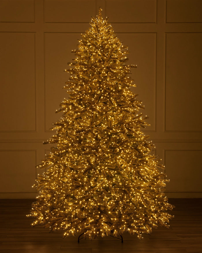 Árvore de Natal Abeto Golden Aspen Estate