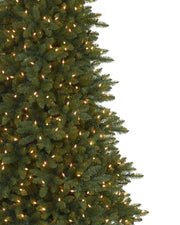 Árvore de Natal Abeto Montanha Berkshire