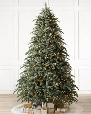 Árvore de Natal Abeto Nobre
