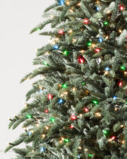 Árvore de Natal Abeto Nobre