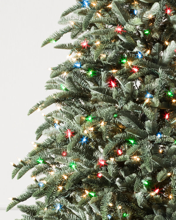 Árvore de Natal Abeto Nobre