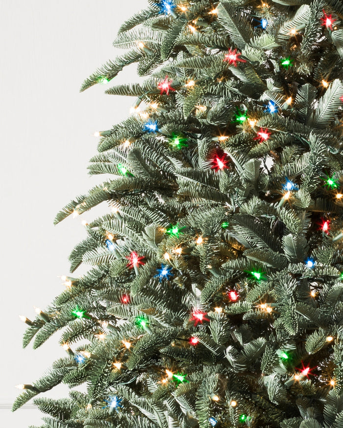 Árvore de Natal Abeto Nobre