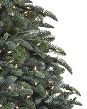 Árvore de Natal Abeto Nobre