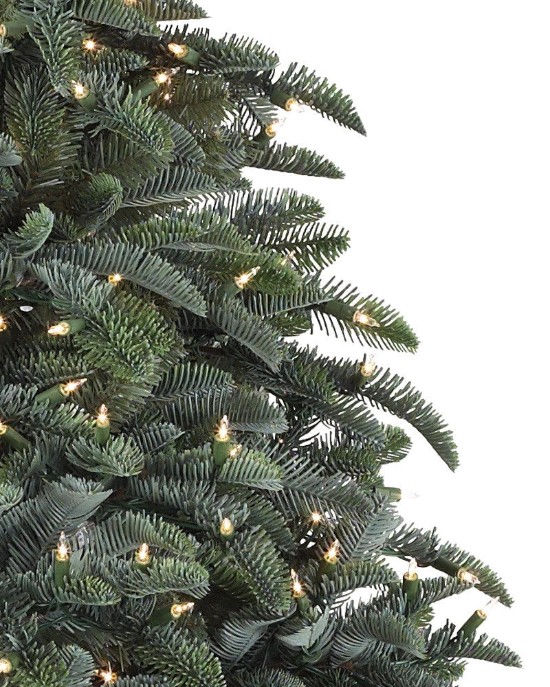 Árvore de Natal Abeto Nobre