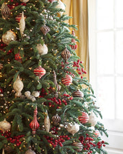 Árvore de Natal Abeto Nobre
