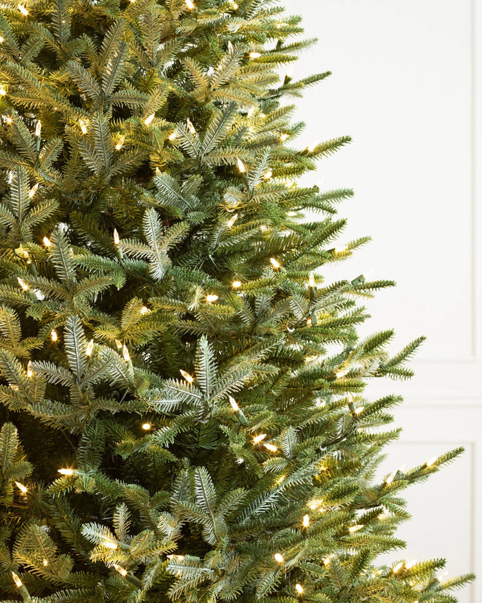 Árvore de Natal Abeto Prateado Europeu