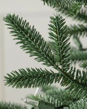 Árvore de Natal Abeto Prateado Europeu