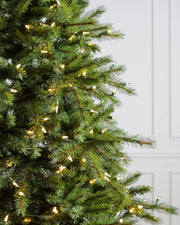 Árvore de Natal Grande Abeto Norueguês