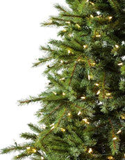 Árvore de Natal Grande Abeto Norueguês