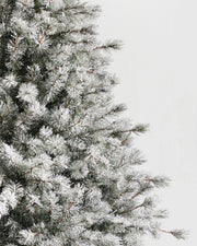 Árvore de Natal Pinheiro Açucarado Nevado