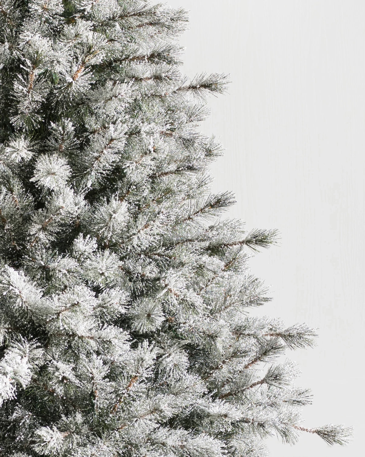 Árvore de Natal Pinheiro Açucarado Nevado