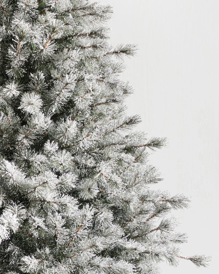 Árvore de Natal Pinheiro Açucarado Nevado