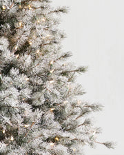 Árvore de Natal Pinheiro Açucarado Nevado