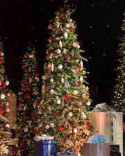 Árvore de Natal Pinheiro Bosque Slim