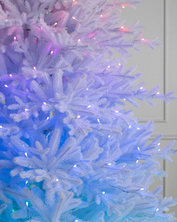 Árvore de Natal Pinheiro Branco Denali