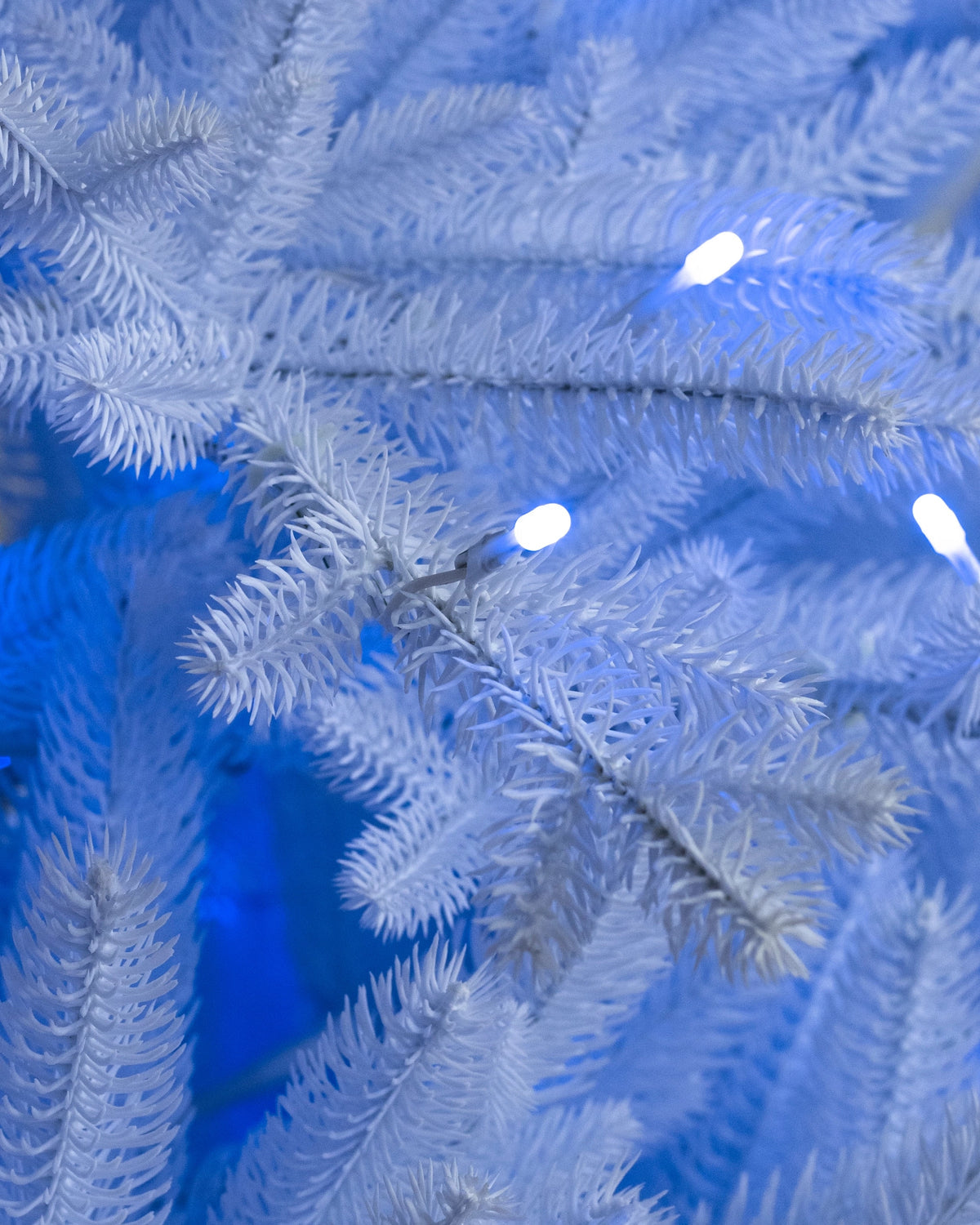 Árvore de Natal Pinheiro Branco Denali