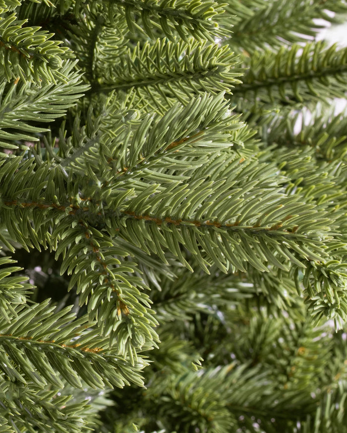 Árvore de Natal Pinheiro Norueguês