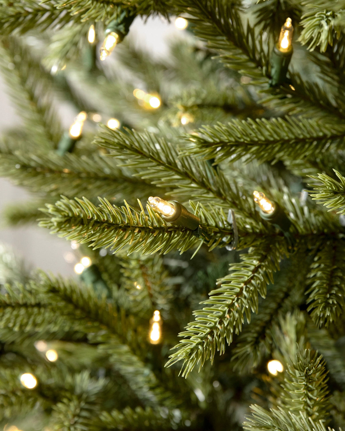 Árvore de Natal Pinheiro Norueguês do Norte