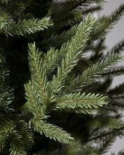 Árvore de Natal Pinheiro Norueguês do Norte