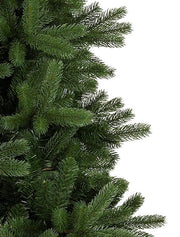 Árvore de Natal Pinheiro Woodland